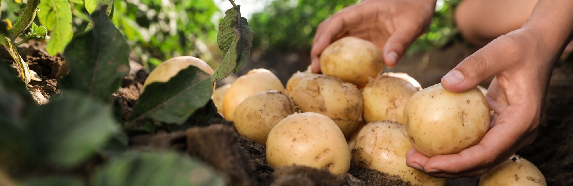 Mécanique et usinage pour le secteur agricole autour de Pontivy