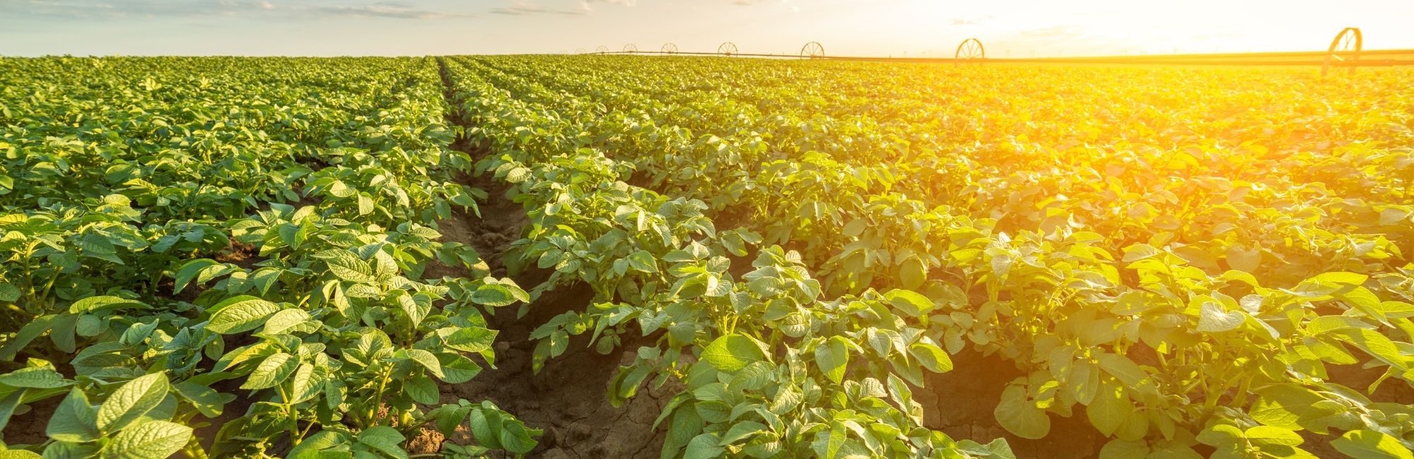 Usinage et mécanique pour le secteur agricole autour de Pontivy